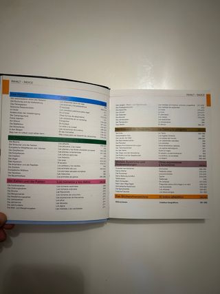 Diccionario Visual Inglés-Español + Alemán-Español