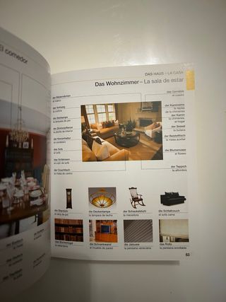 Diccionario Visual Inglés-Español + Alemán-Español