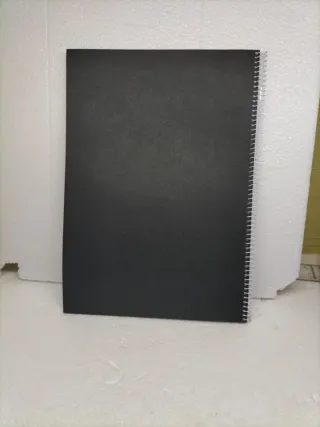 Manual Propietario VOGE 900DSX