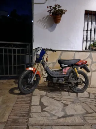 Chasis Derbi Variant documentado