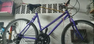 Bicicleta morada antigua