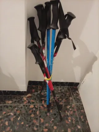 Bastones de trekking