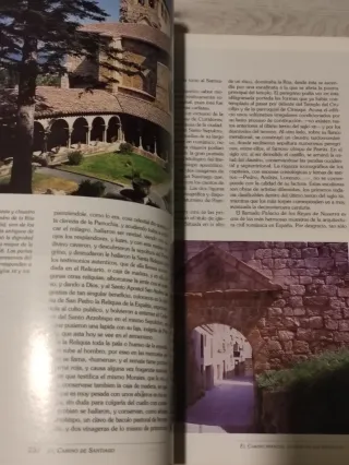 El camino de Santiago