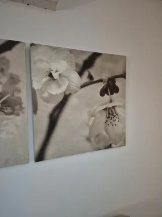 Set 3 Cuadros Flores Cerezo