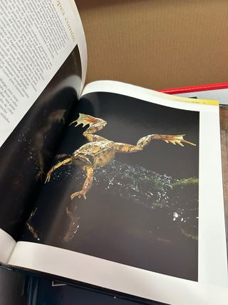 Enciclopedia de los animales. Mamíferos I. (Con...