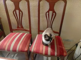 Mesa de comedor de madera.regalo 4 sillas