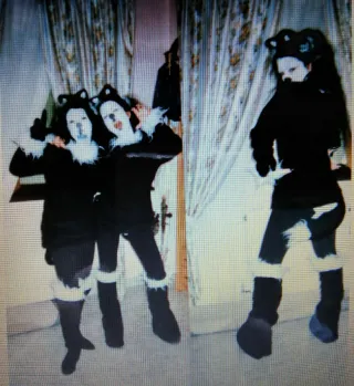 Disfraz Gata Invierno