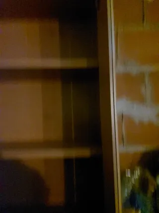 Vitrina de madera y cristal marrón