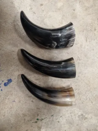 Lote 3 cuernos