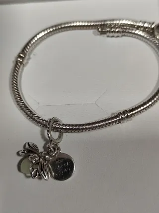 Charm Plata Ley Luciérnaga Luminosa