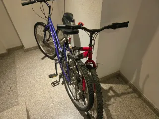 Bicicletas Florida y P810
