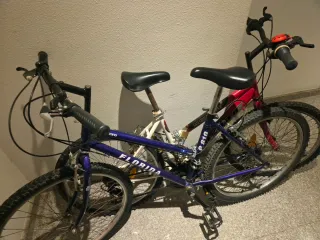 Bicicletas Florida y P810