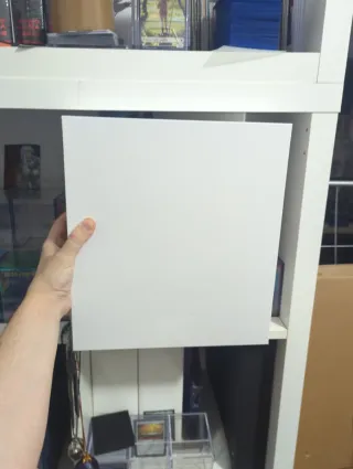 Dragon Shield Caja Almacenamiento