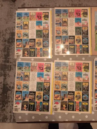 Lote Comics Tintin