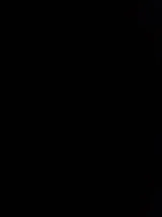 Bandeja Trasera Audi A4 B7 + Subwoofer