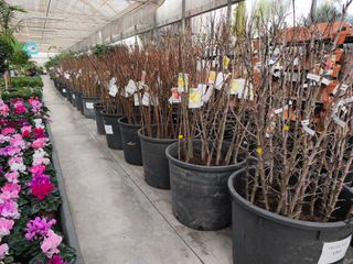 Se alquila explotación agrícola. 30.000m2