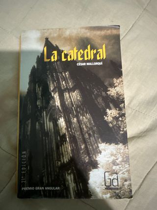 La catedral (Gran Angular) (Spanish Edition)