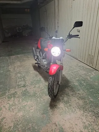 Honda CBF 250  2004