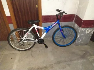 Bicicleta Romester
