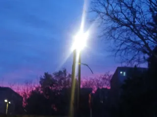 Despiece BMW E46 (2 unidades)