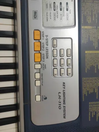 Teclado Casio 5 octavas para aprender Casio LK-110