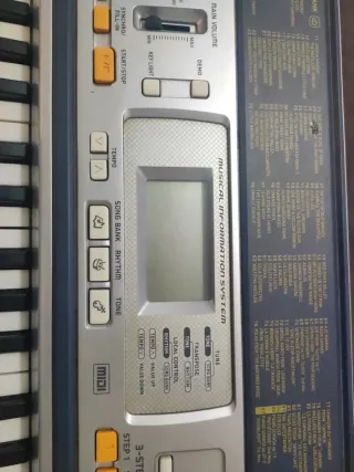 Teclado Casio 5 octavas para aprender Casio LK-110