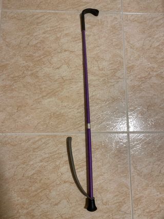 Fusta de equitación morada