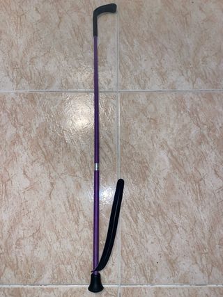 Fusta de equitación morada