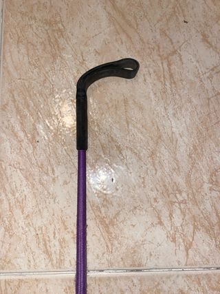 Fusta de equitación morada