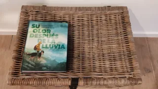 Baúl de mimbre con detalles de cuero