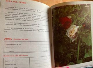 Agenda del Ama de Casa 1979 Monte de Piedad Madrid