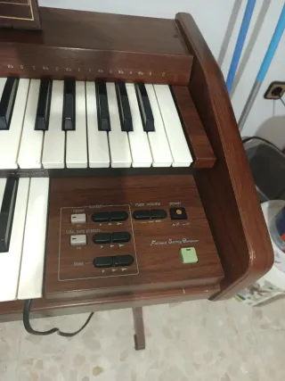 Órgano Electrónico Technics SX-E22L