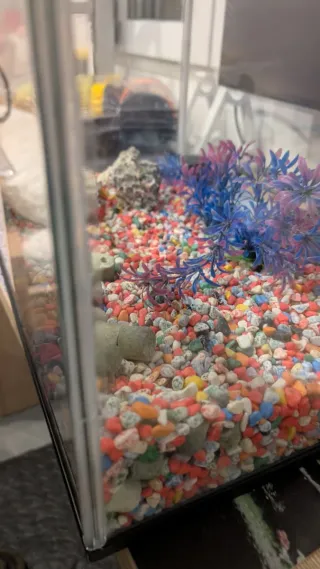 Acuario 25L cristal y plástico