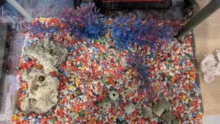 Acuario 25L cristal y plástico