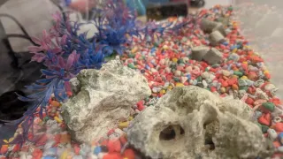 Acuario 25L cristal y plástico