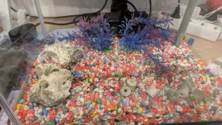 Acuario 25L cristal y plástico