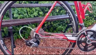 Bicicleta Carretera FOCUS Cayo Evo Talla L