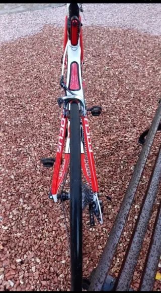 Bicicleta Carretera FOCUS Cayo Evo Talla L