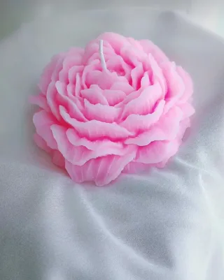Candela Peonia Cera Naturale Rosa