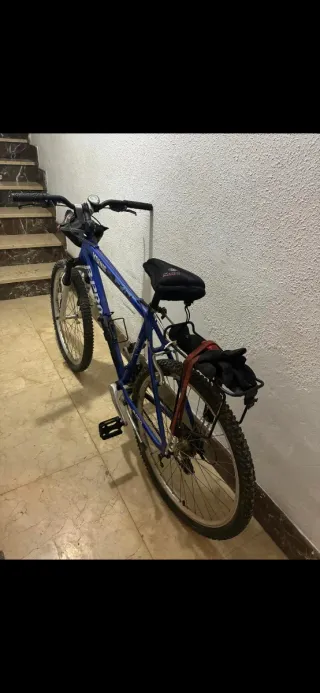 Bicicleta B-Pro Young Azul