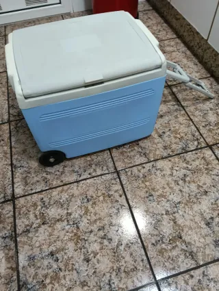 Nevera familiar playa con ruedas