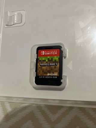 Minecraft Nintendo Switch