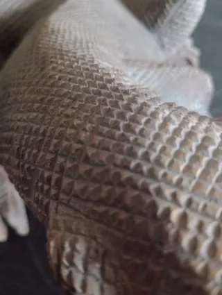 Scultura Drago di Comodo in Legno