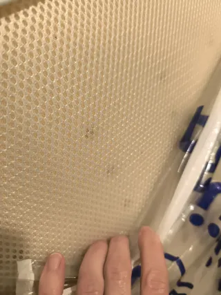 Cuna colecho Cotinfant LOOK AT ME