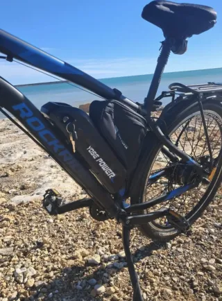 Bicicleta Eléctrica MTB