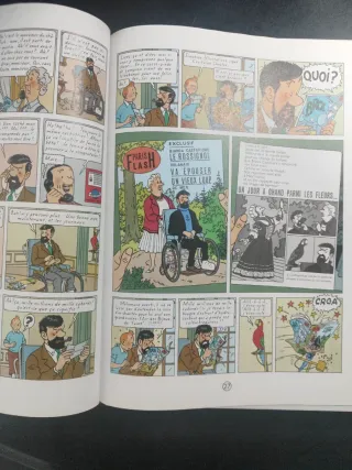 Les Bijoux de la Castafiore: Les Adventures De ...