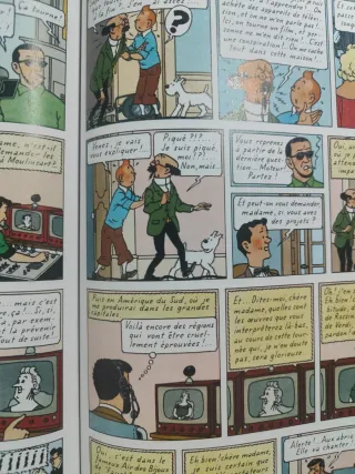 Les Bijoux de la Castafiore: Les Adventures De ...