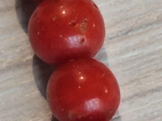 Collana vintage corallo rosso con chiusura dorata