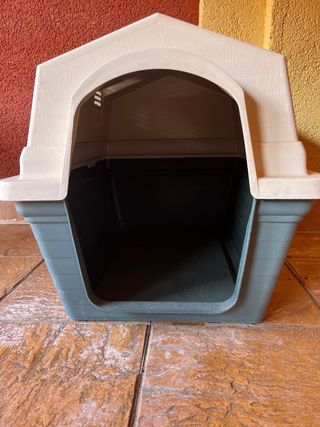 Caseta perro beige y verde