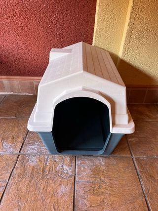 Caseta perro beige y verde